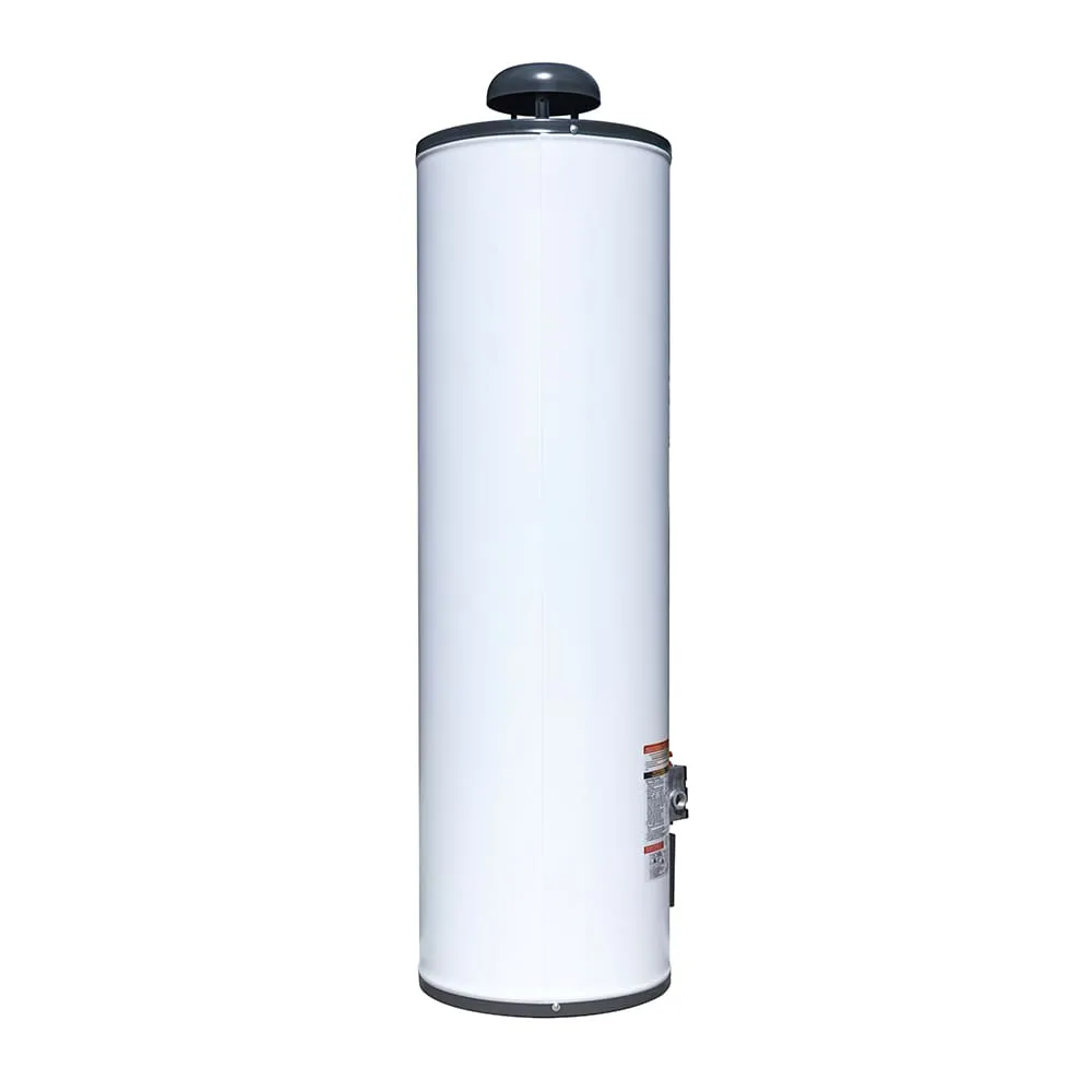 Calentador de Depósito Primo 80 L / 20 Galones Gas LP IUSA - 268710