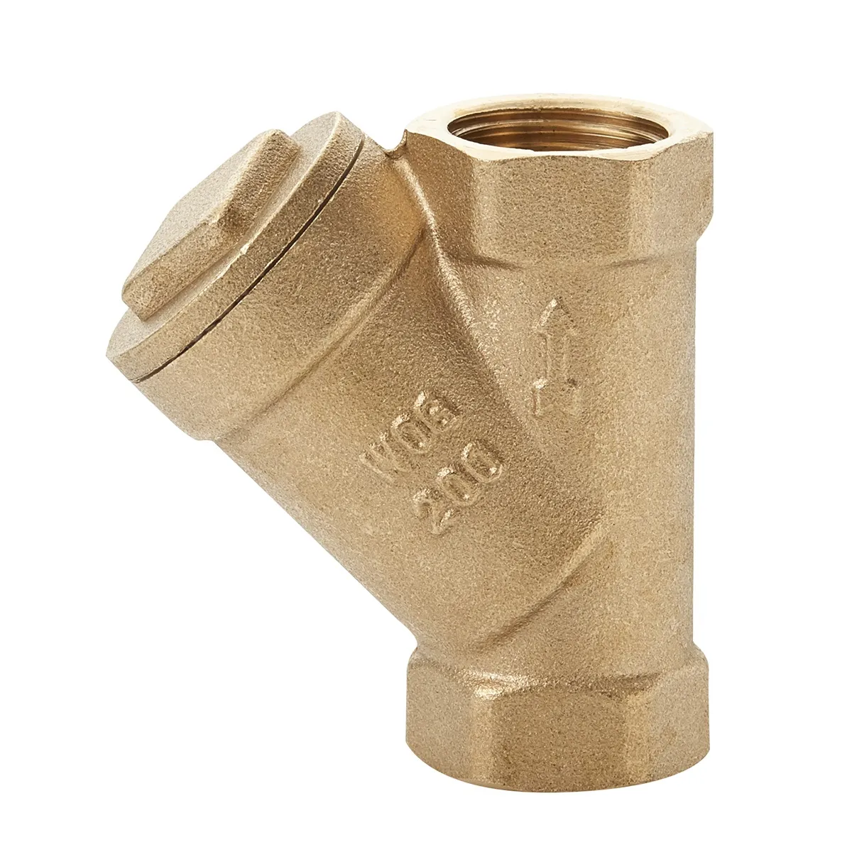 Válvula Check Tipo Columpio de 25 mm (1") Mueller - 101-205C