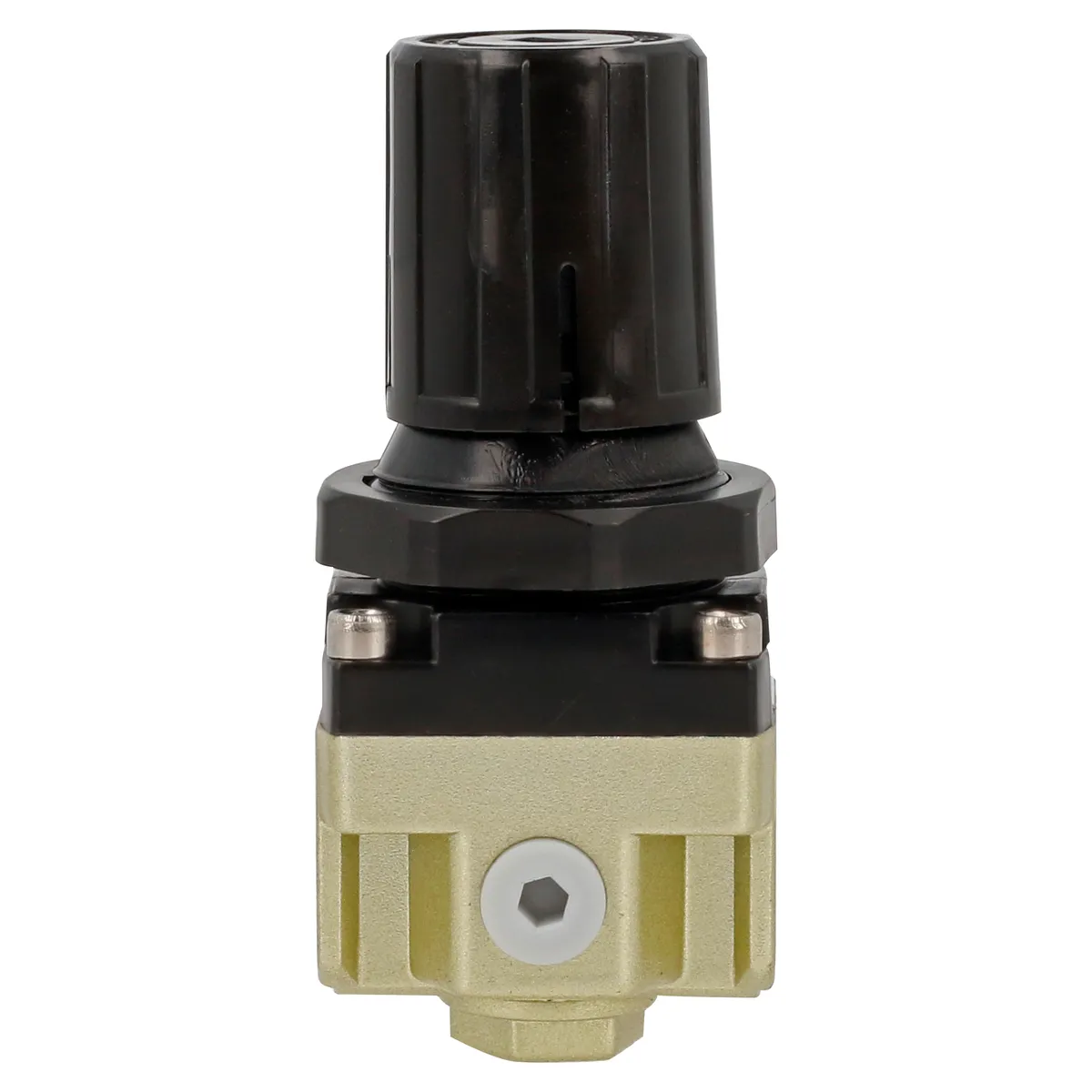 Regulador de aire con manómetr o 150PSI Surtek
